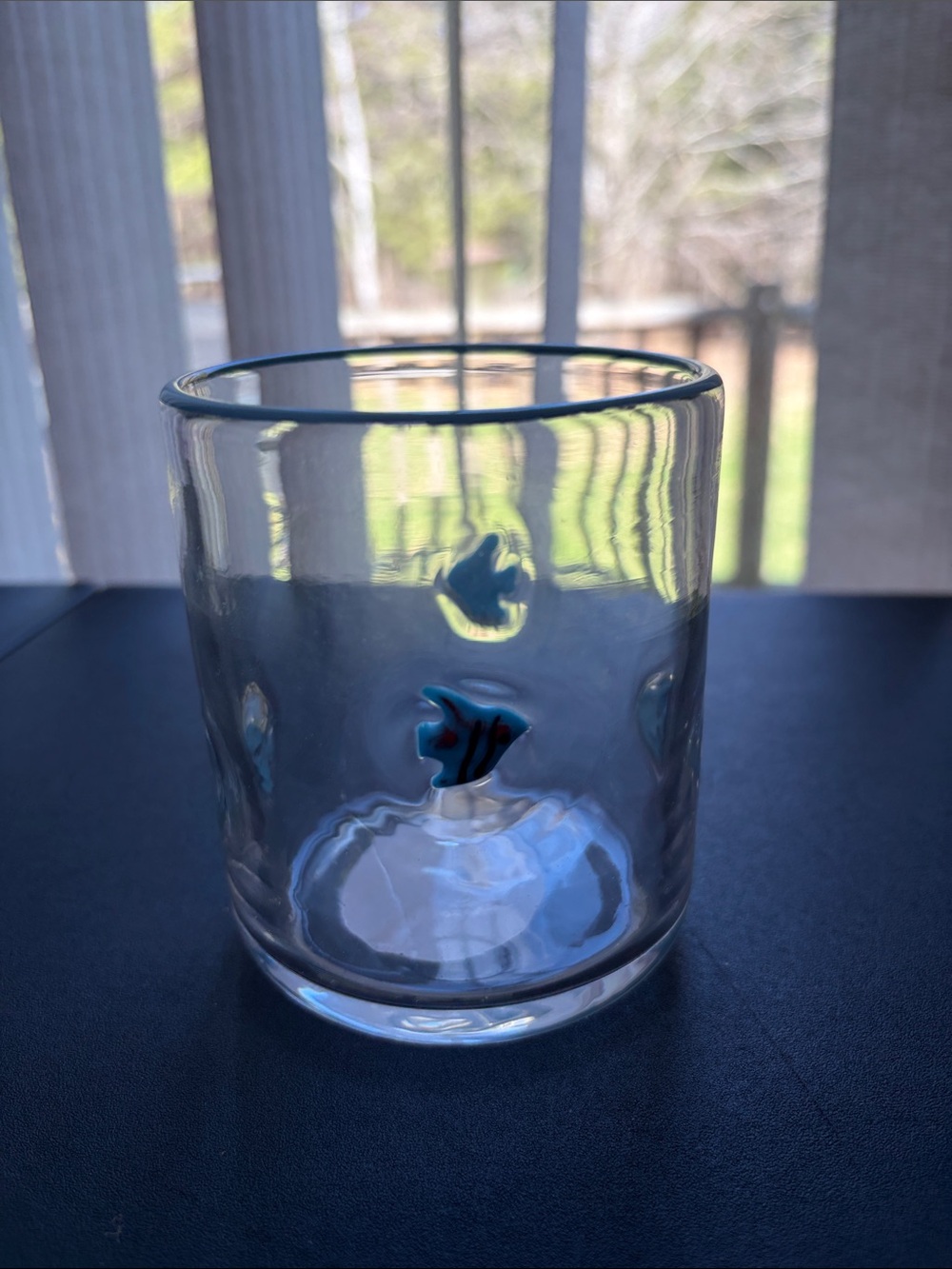 Madison Home 16 fl oz Icon Glass Fish